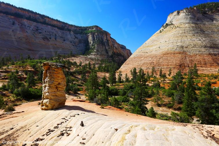 Mount Carmel Highway Zion National Park Utah USA
