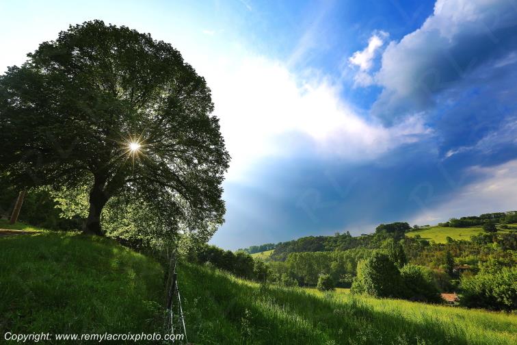 Salon de Vergt Dordogne Nouvelle Aquitaine France www.remylacroixphoto.com
