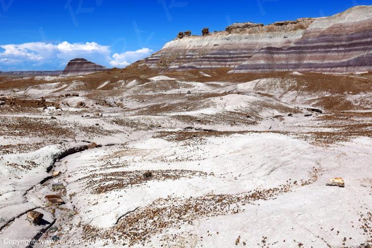 Blue Mesa Petrified Forest National Park Arizona USA
