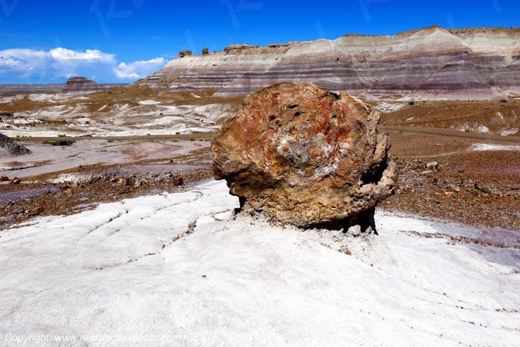 Blue Mesa Petrified Forest National Park Arizona USA