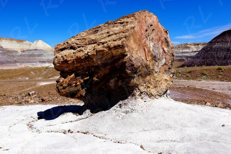 Blue Mesa Petrified Forest National Park Arizona USA