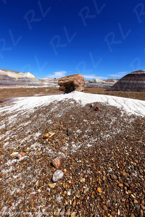 Blue Mesa Petrified Forest National Park Arizona USA