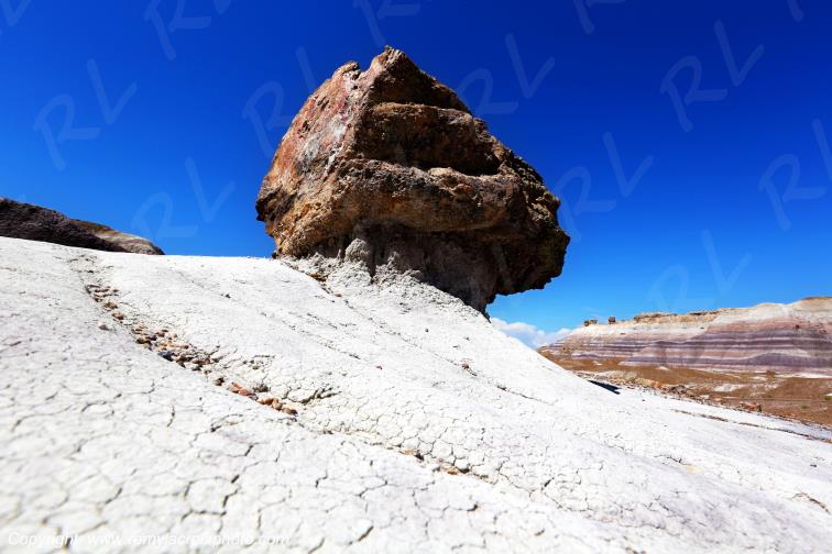 Blue Mesa Petrified Forest National Park Arizona USA