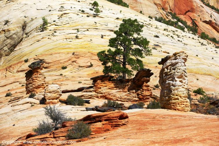 Mount Carmel Highway Zion National Park Utah USA