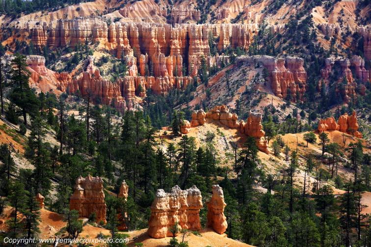 Sunrise Point Bryce Canyon National Park Utah USA
