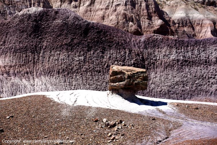 Blue Mesa Petrified Forest National Park Arizona USA