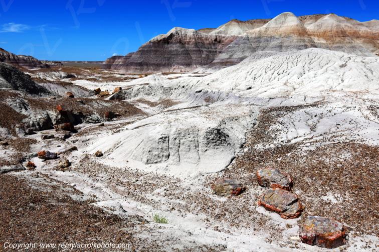 Blue Mesa Petrified Forest National Park Arizona USA