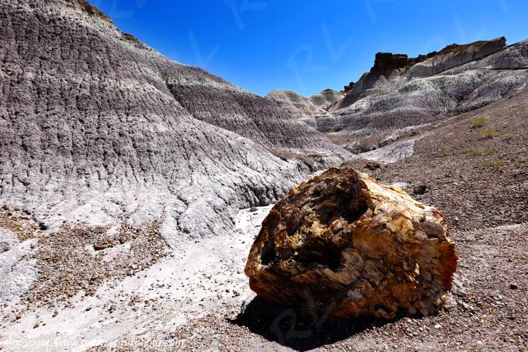 Blue Mesa Petrified Forest National Park Arizona USA