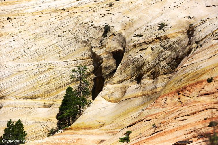 Mount Carmel Highway Zion National Park Utah USA