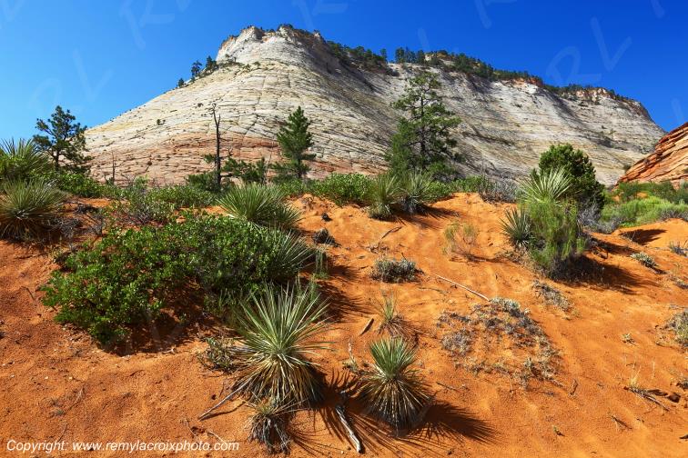 Mount Carmel Highway Zion National Park Utah USA