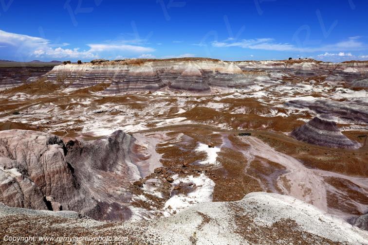 Blue Mesa Petrified Forest National Park Arizona USA