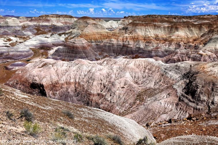 Blue Mesa Petrified Forest National Park Arizona USA