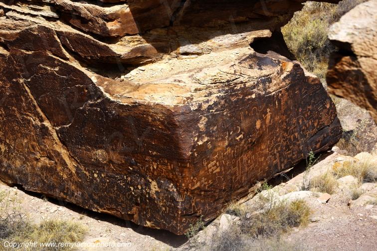 Newspaper Rock Petrified Forest National Park Arizona USA