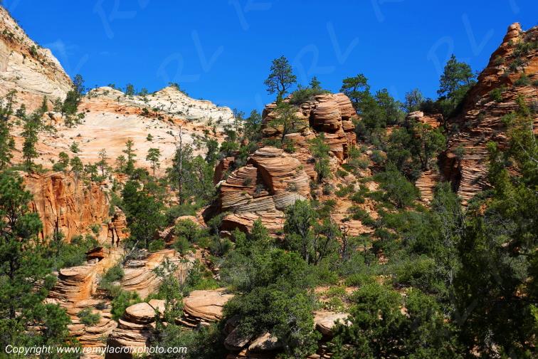 Mount Carmel Highway Zion National Park Utah USA