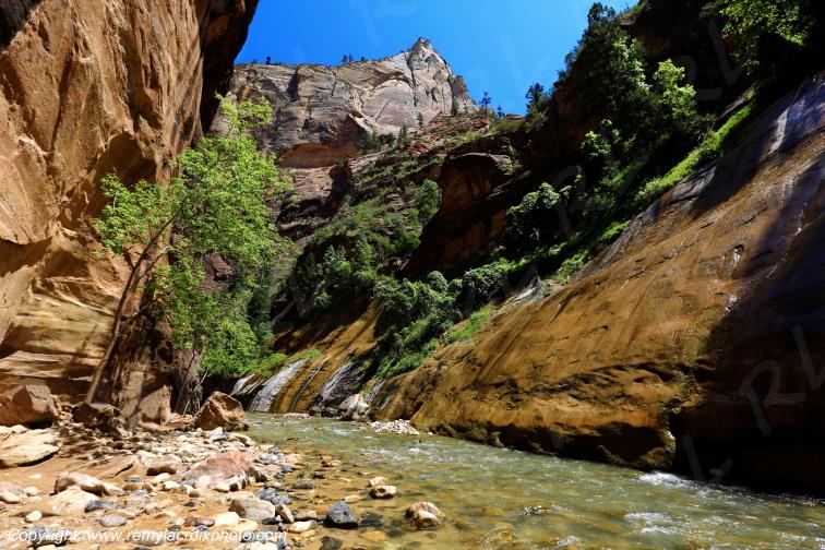 Riverside Walk Zion National Park Utah USA