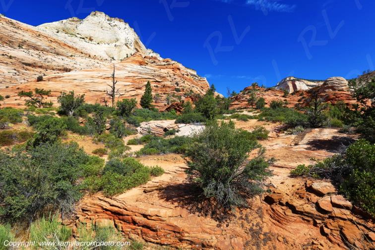 Mount Carmel Highway Zion National Park Utah USA