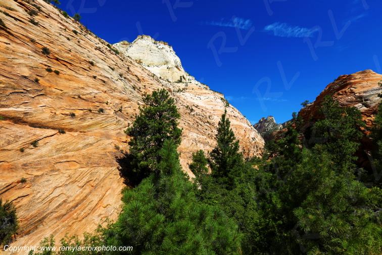 Mount Carmel Highway Zion National Park Utah USA