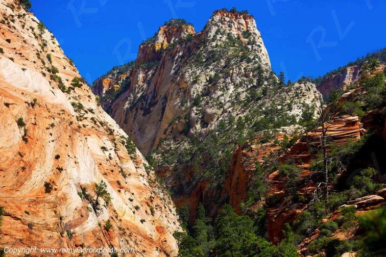Mount Carmel Highway Zion National Park Utah USA