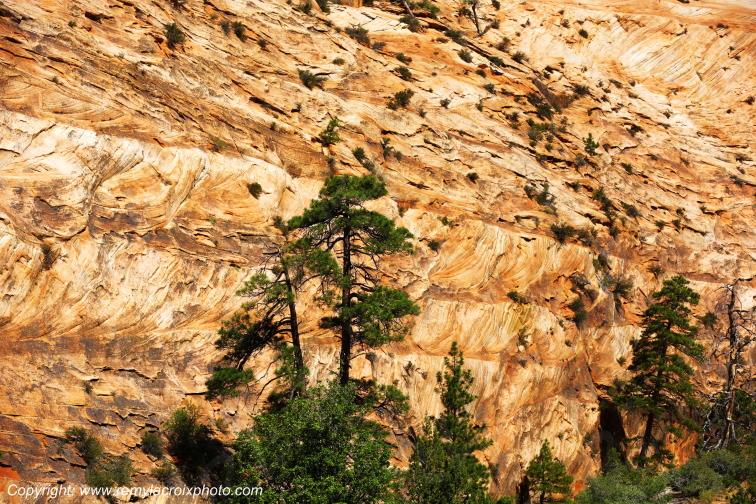Mount Carmel Highway Zion National Park Utah USA