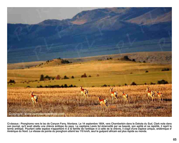 Voyage vers l'Ouest Am�ricain sur les traces de l'exp�dition Lewis & Clark www.remylacroixphoto.com